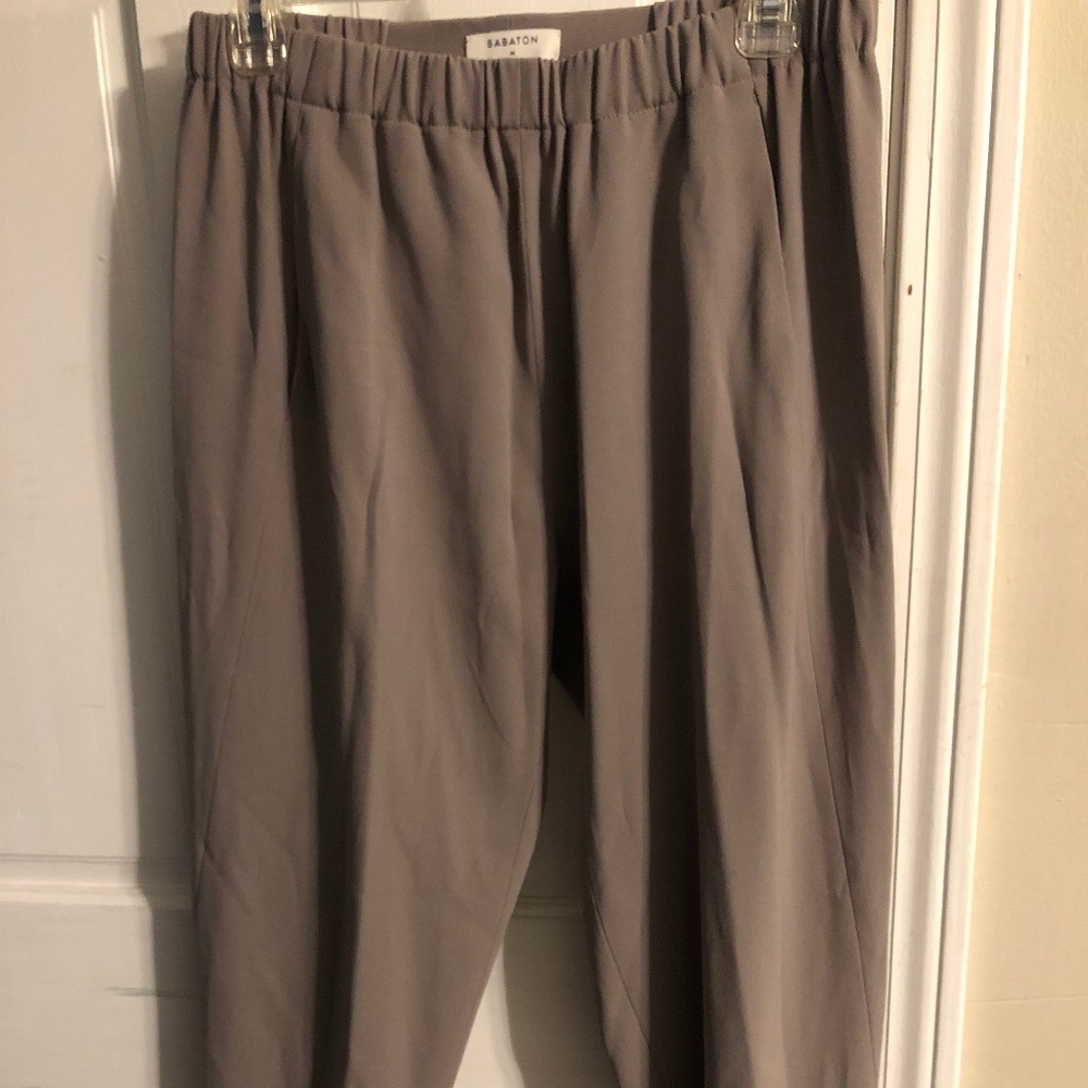 Aritzia Babaton Dexter Pants M